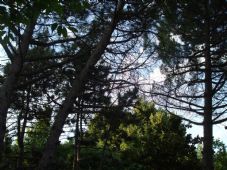 9 - Dintorni|Bed & Breakfast Antico Fienile